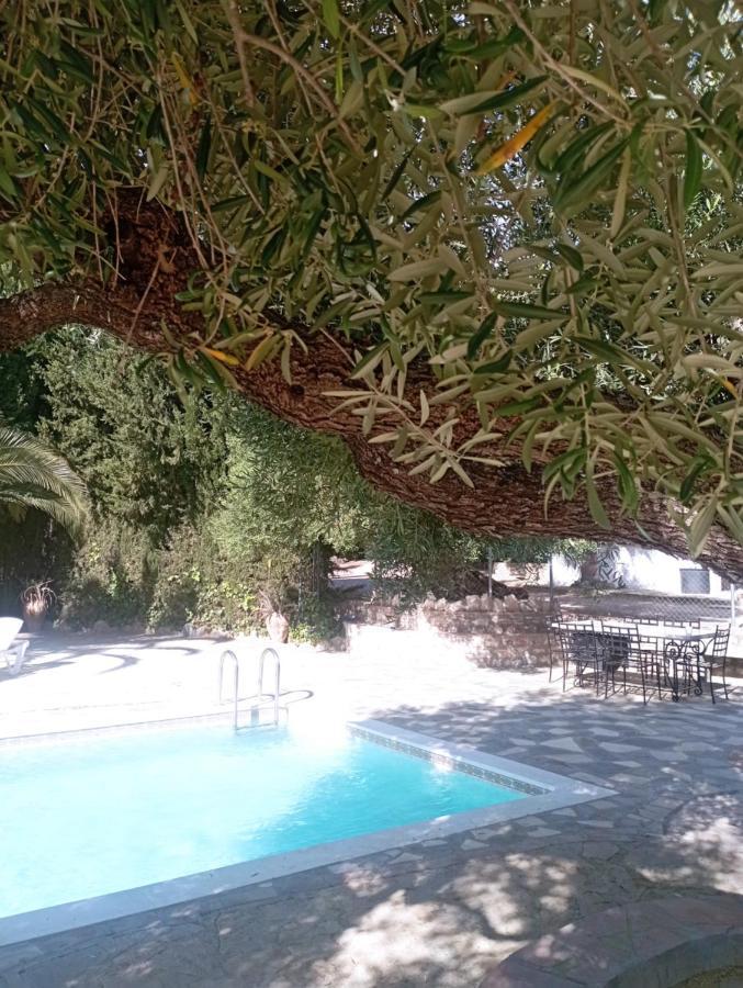 El Canuelo Zahara De La Sierra Exterior photo